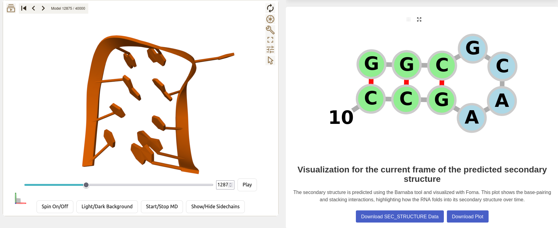Visualisation of the secondary structure by Forna
